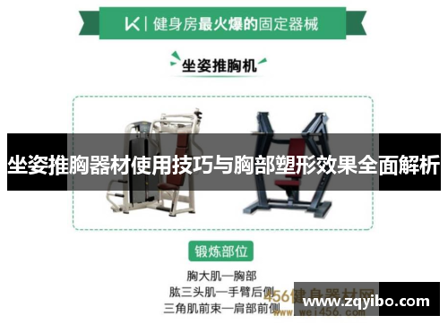 坐姿推胸器材使用技巧与胸部塑形效果全面解析