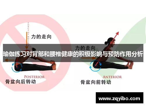 瑜伽练习对背部和腰椎健康的积极影响与预防作用分析