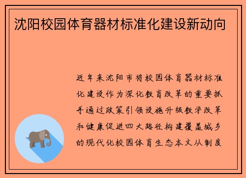 沈阳校园体育器材标准化建设新动向